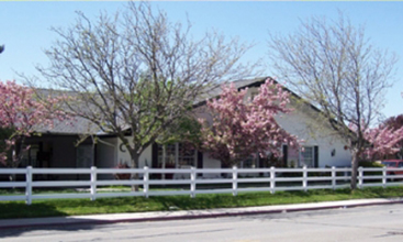 Orem – Cherry Tree